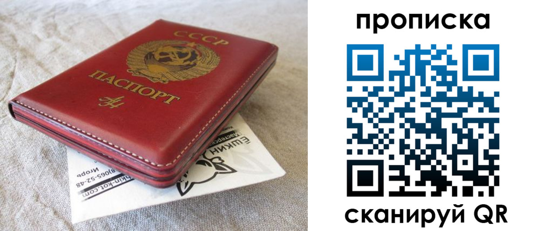 прописка для школы в Ненецком АО